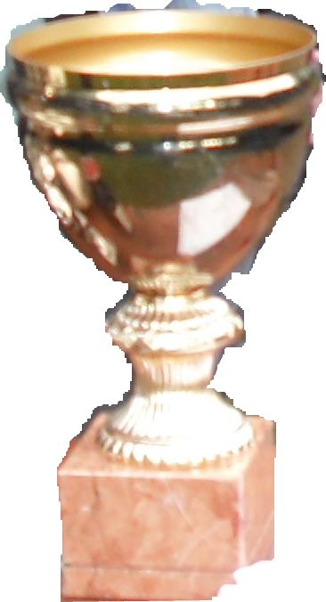 WDTM-Pokal